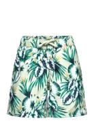 Borg Print Swim Shorts Sport Swimshorts Green Björn Borg