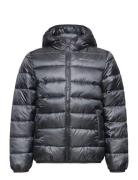 Hooded Jacket Sport Jackets & Coats Puffer & Padded Black Champion