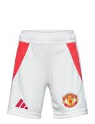 Manchester United Fc H Sho Y Sport Shorts Sport Shorts White Adidas Pe...