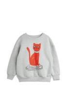 Cat Sp Sweatshirt Tops Sweatshirts & Hoodies Sweatshirts Grey Mini Rod...