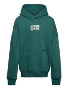 Fleece Po Hoodie Tops Sweatshirts & Hoodies Hoodies Green Converse