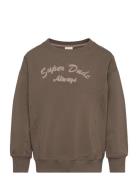 Sweatshirt Ls Tops Sweatshirts & Hoodies Sweatshirts Brown Minymo