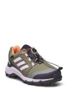 Terrex Gtx K Low-top Sneakers Green Adidas Terrex