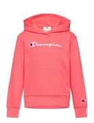 Hooded Sweatshirt Tops Sweatshirts & Hoodies Hoodies  Champion