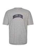 Hco. Guys Graphics Tops T-Kortærmet Skjorte Grey Hollister