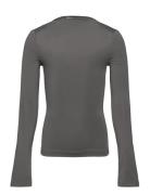 Basic Top Tops T-shirts Long-sleeved T-Skjorte Grey Hound