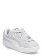 Suede Xl Sport Sneakers Low-top Sneakers Silver PUMA