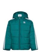 Padded Jacket Foret Jakke Green Adidas Originals