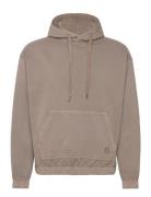 Rrandy Sweat Hood Over D Fit Tops Sweatshirts & Hoodies Hoodies Brown ...