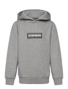 Chamois Hoodie Tops Sweatshirts & Hoodies Hoodies Grey Napapijri