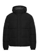 Jjebradley Puffer Hood Sn Foret Jakke Black Jack & J S