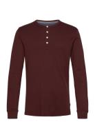 Solid Gradad W Contrast Fabric L/S Tops T-Langærmet Skjorte Burgundy L...