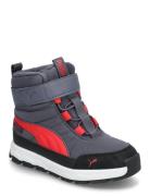 Puma Evolve Boot Puretex Ac+Ps Sport Winter Boots Winter Boots W. Velc...