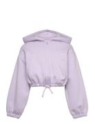 Cropped Cutline Hoody Jacket Tops Sweatshirts & Hoodies Hoodies Purple...