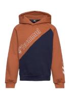 Hmlaxel Hoodie Tops Sweatshirts & Hoodies Hoodies Brown Hummel