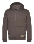 Jacquard Terry Hoodie Tops Sweatshirts & Hoodies Hoodies Brown Scotch ...