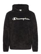 Hooded Top Tops Sweatshirts & Hoodies Hoodies Black Champion