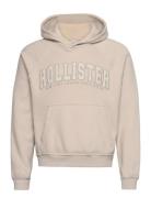 Hco. Guys Sweatshirts Tops Sweatshirts & Hoodies Hoodies Beige Hollist...