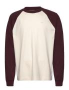 Hco. Guys Knits Tops T-Langærmet Skjorte Cream Hollister