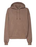 Standard Hoodie Tops Sweatshirts & Hoodies Sweatshirts Beige Weekday