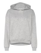 Standard Hoodie Tops Sweatshirts & Hoodies Sweatshirts Grey Weekday