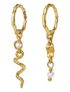 Evelyn Earrings Ørestickere Smykker Gold Maanesten