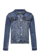 Dj-Denim Jackets Outerwear Jackets & Coats Denim & Corduroy Blue Levi'...