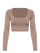 Luxe Seamless Crop Long Sleeve Sport Crop Tops Long-sleeved Crop Tops ...