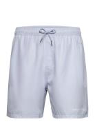 Logotype Swimshorts Designers Shorts Blue Daily Paper