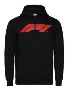 F1 Ess Logo Hoodie Fl Sport Sport Clothing Sport Sweatshirts & Hoodies...