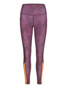 Molly Tights Sport Women Sport Clothing Sport Tights Sport Training Ti...