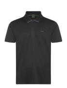 Paddytech Sport Men Sport Clothing Sport Tops Sport Polos Sport Short-...