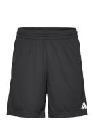 Bos Short Sport Men Sport Clothing Sport Shorts Sport Training Shorts ...