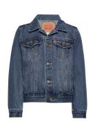 Dj-Denim Jackets Outerwear Jackets & Coats Denim & Corduroy Blue Levi'...