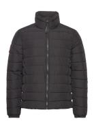 Fuji Emb Padded Jacket Foret Jakke Black Superdry