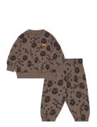 Squiggly Cats Aop Baby Set Sets Sweatsuits Brown Mini Rodini