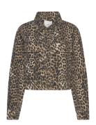 Leopard-Print Denim Jacket Jakke Denimjakke Brown Mango