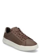 Th Court Best Tumbled Lth Low-top Sneakers Brown Tommy Hilfiger