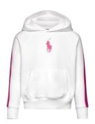 Striped Big Pony French Terry Hoodie Tops Sweatshirts & Hoodies Hoodie...