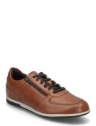 U Renan B Low-top Sneakers Brown GEOX