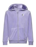 Hoodjacket Velour Solid Tops Sweatshirts & Hoodies Hoodies Purple Lind...