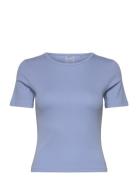 Ease Ribbed Short Sleeve Sport Women Sport Clothing Sports Tops & T-sh...