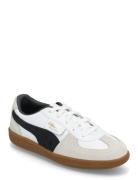 Palermo Lth Ps Low-top Sneakers White PUMA