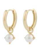 Lucy Ring Pendant Ear G/White Ørestickere Smykker Gold SNÖ Of Sweden