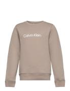 Inst. Logo Regular Cn Tops T-shirts Long-sleeved T-Skjorte Beige Calvi...