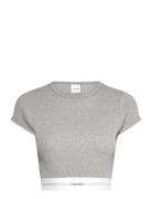 Rib Crop Tee Tops Crop Tops Short-sleeved Crop Tops Grey Calvin Klein