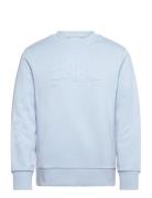 Reg Tonal Shield Cneck Sweat Tops Sweatshirts & Hoodies Sweatshirts Bl...