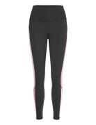 Molly Tights Sport Women Sport Clothing Sport Tights Sport Training Ti...