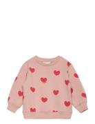Tnstnell Sweatshirt Tops Sweatshirts & Hoodies Sweatshirts Pink The Ne...