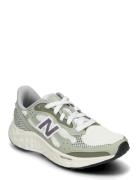 New Balance Freshfoam Arishi V4 Sport Women Sport Shoes Sport Sneakers...